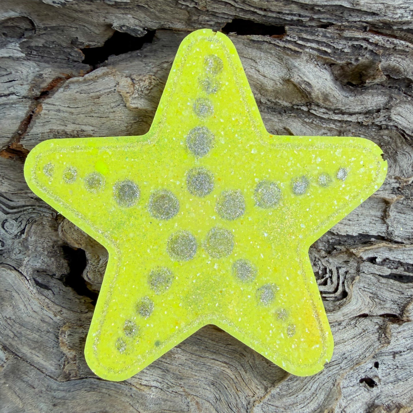Star Fish Shaped Tag
