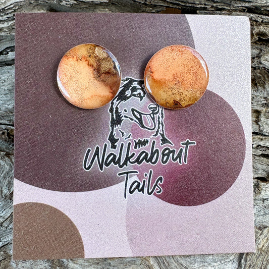 Neutral Coloured Medium Stud Earrings