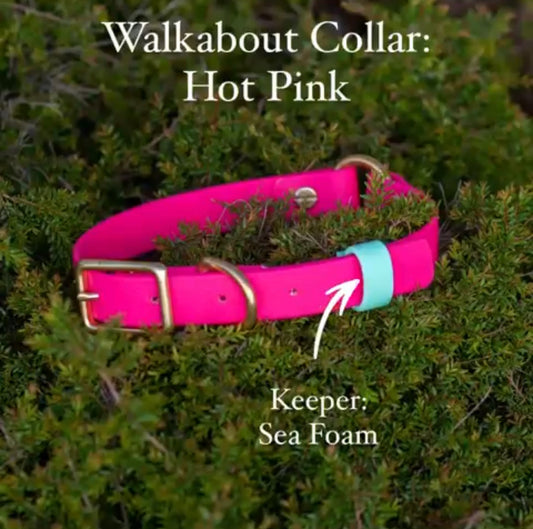 Image of our hot pink dog collar with a sea foam green keeper